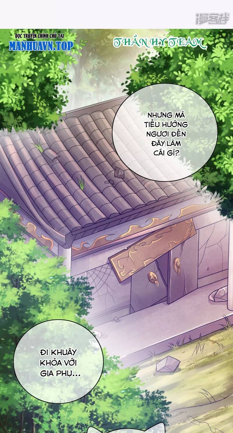 Hài Đế Vi Tôn
