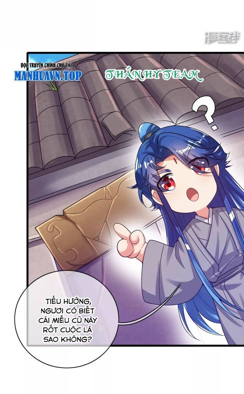 Hài Đế Vi Tôn