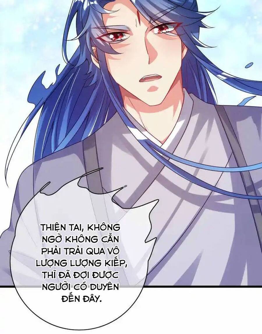 Hài Đế Vi Tôn