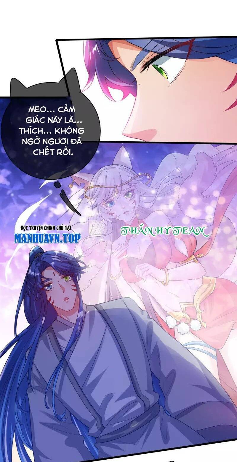 Hài Đế Vi Tôn