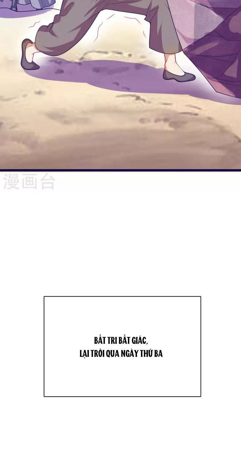 Hài Đế Vi Tôn
