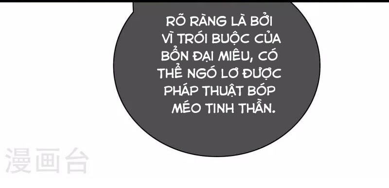 Hài Đế Vi Tôn