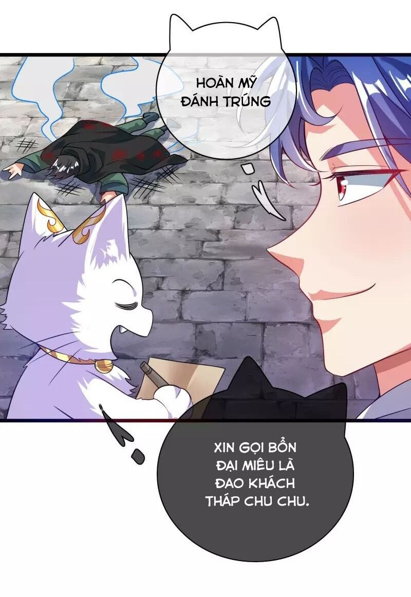 Hài Đế Vi Tôn