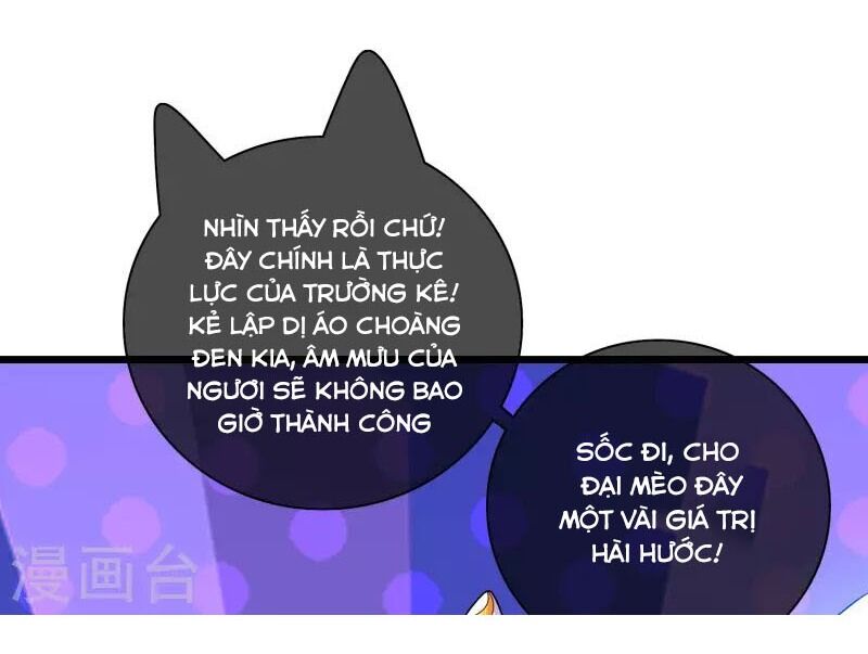 Hài Đế Vi Tôn