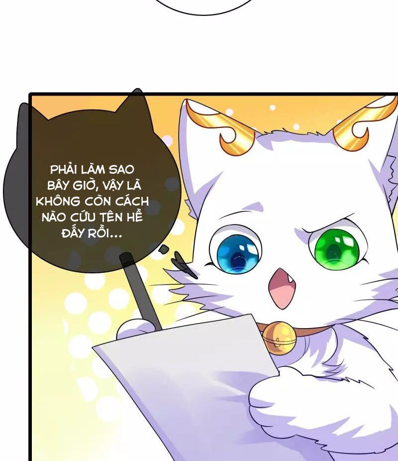 Hài Đế Vi Tôn