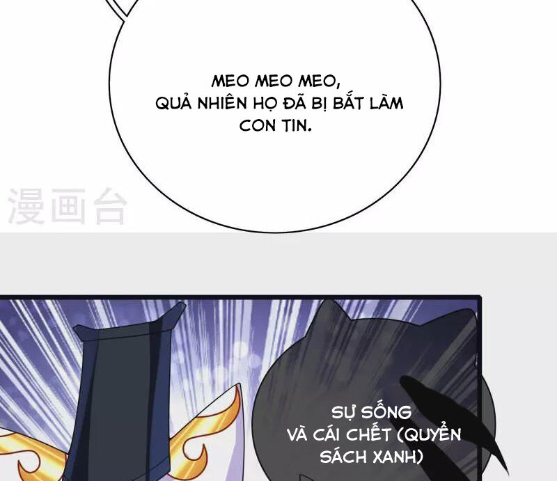Hài Đế Vi Tôn