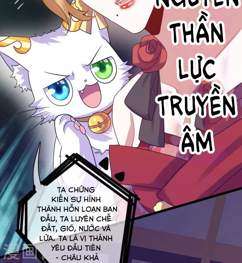 Hài Đế Vi Tôn