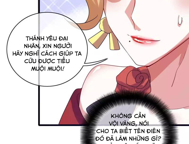 Hài Đế Vi Tôn