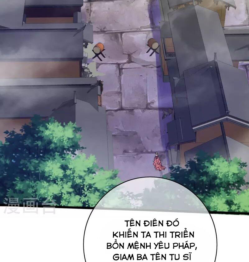 Hài Đế Vi Tôn