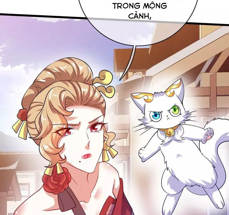 Hài Đế Vi Tôn