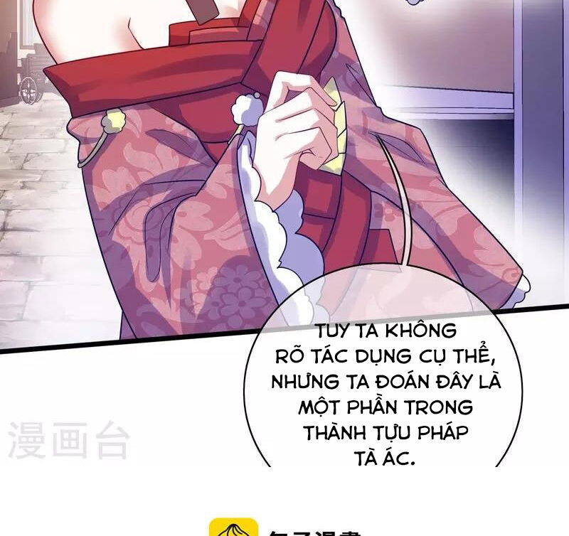 Hài Đế Vi Tôn