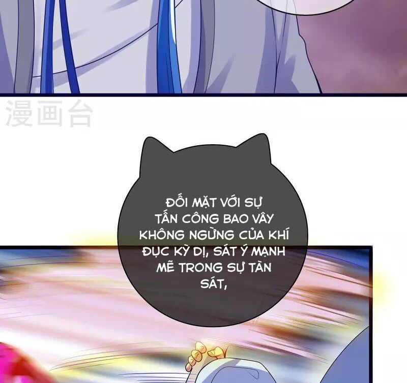 Hài Đế Vi Tôn