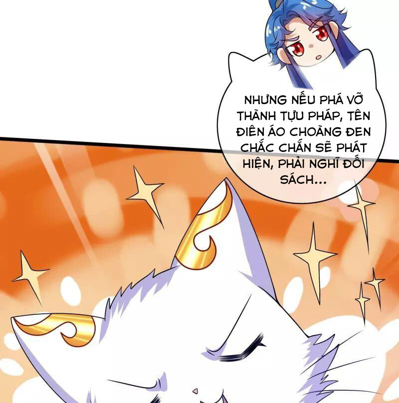 Hài Đế Vi Tôn