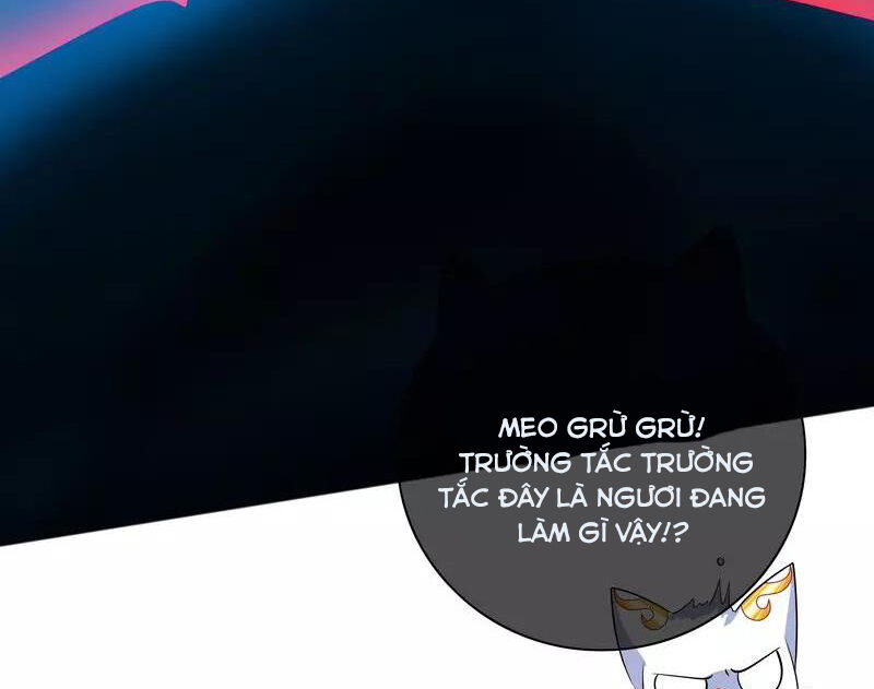 Hài Đế Vi Tôn