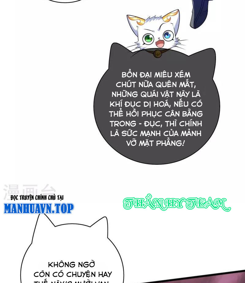 Hài Đế Vi Tôn
