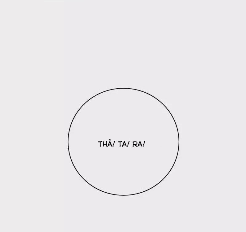 Hài Đế Vi Tôn