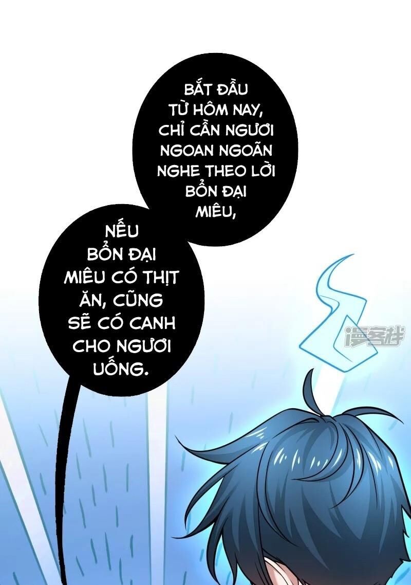 Hài Đế Vi Tôn