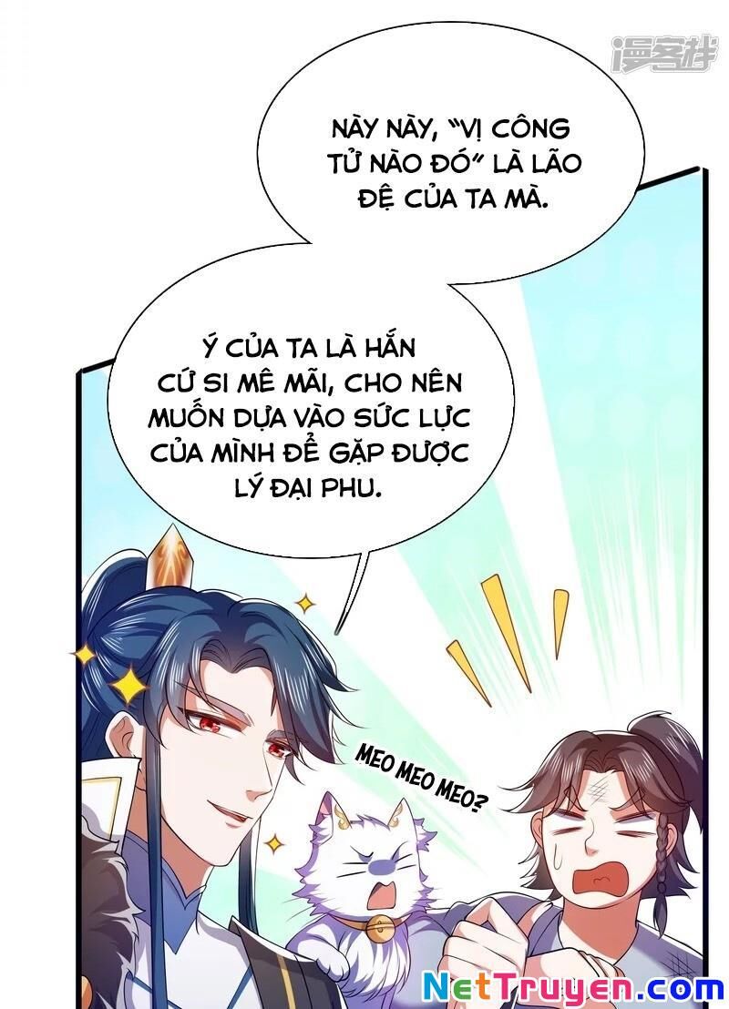 Hài Đế Vi Tôn