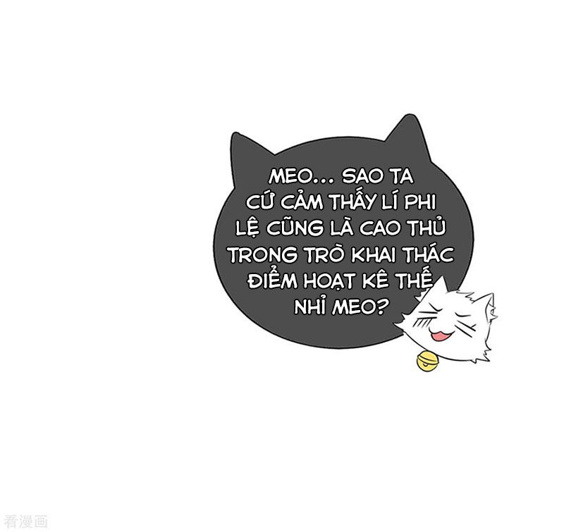 Hài Đế Vi Tôn