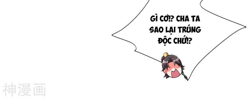 Hài Đế Vi Tôn