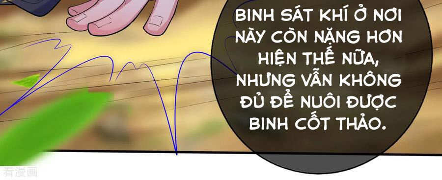 Hài Đế Vi Tôn