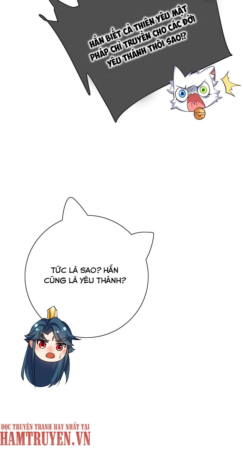 Hài Đế Vi Tôn