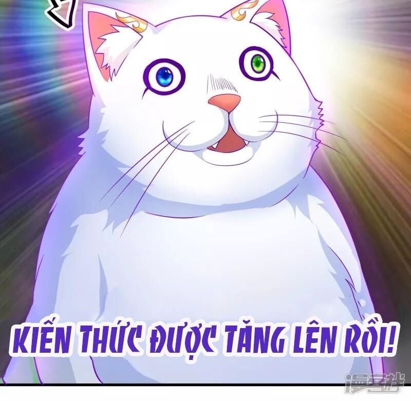 Hài Đế Vi Tôn