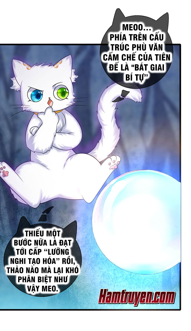 Hài Đế Vi Tôn