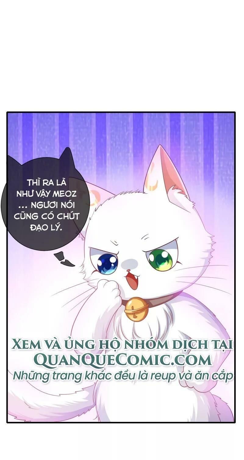 Hài Đế Vi Tôn