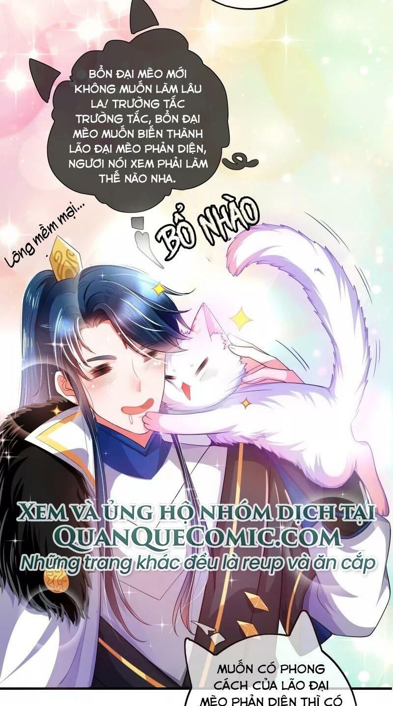 Hài Đế Vi Tôn