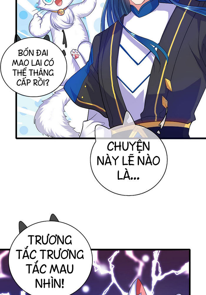 Hài Đế Vi Tôn