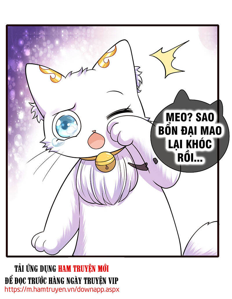 Hài Đế Vi Tôn