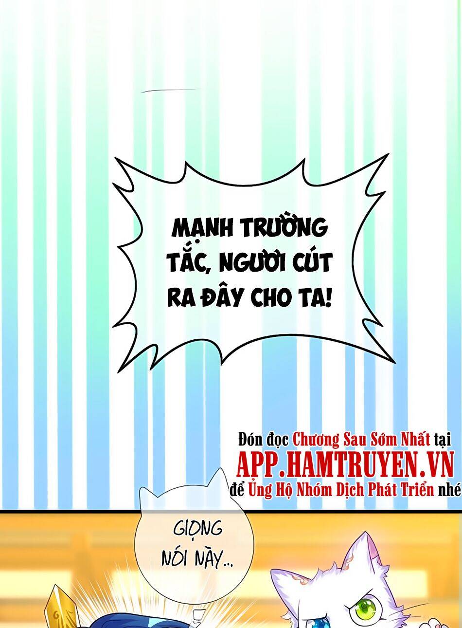 Hài Đế Vi Tôn
