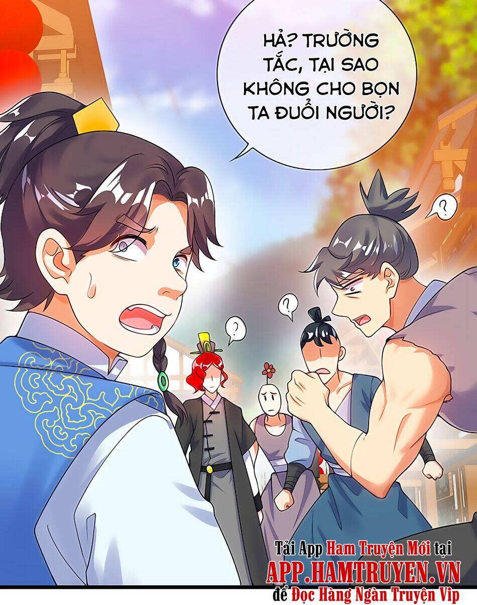 Hài Đế Vi Tôn