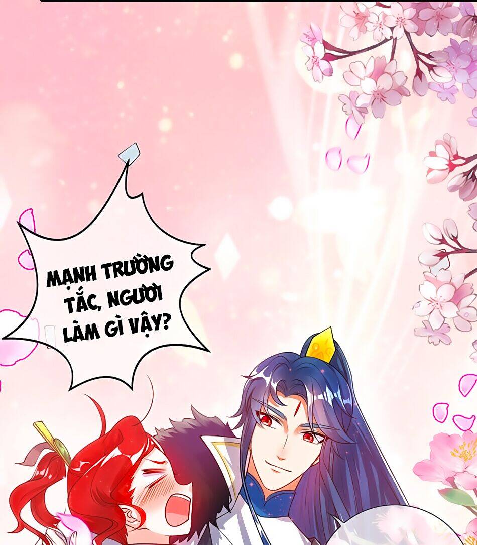 Hài Đế Vi Tôn