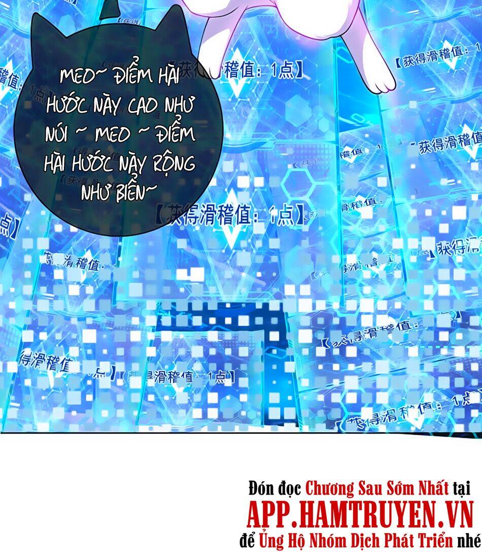 Hài Đế Vi Tôn