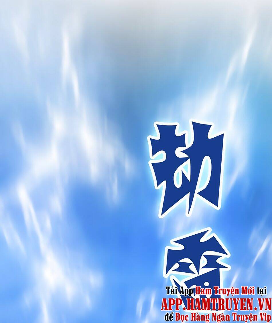 Hài Đế Vi Tôn