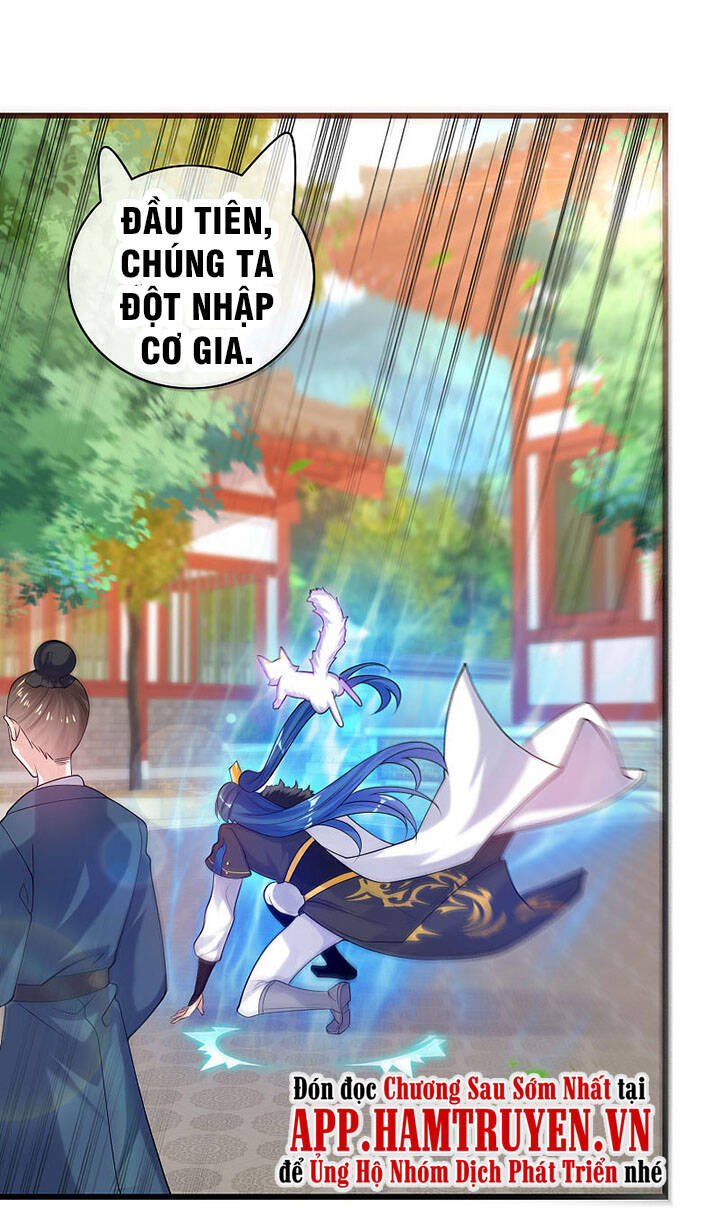 Hài Đế Vi Tôn