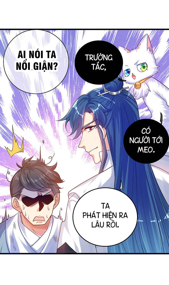 Hài Đế Vi Tôn