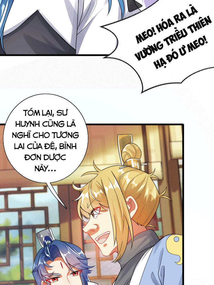 Hài Đế Vi Tôn