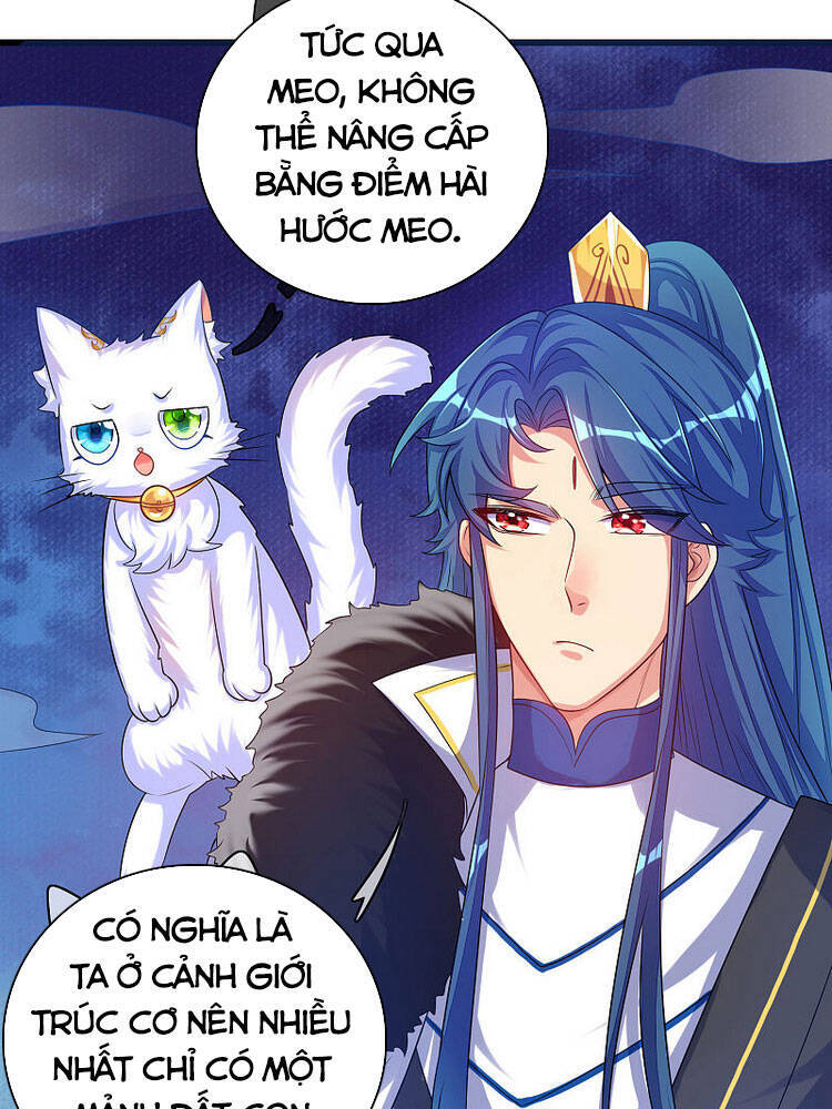 Hài Đế Vi Tôn