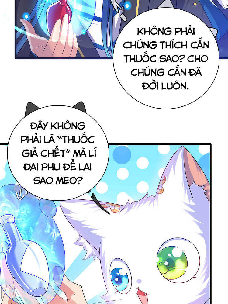 Hài Đế Vi Tôn
