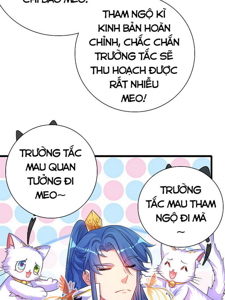 Hài Đế Vi Tôn
