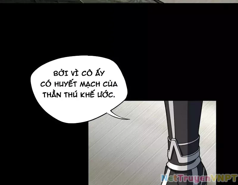Đại Đạo Vô Danh