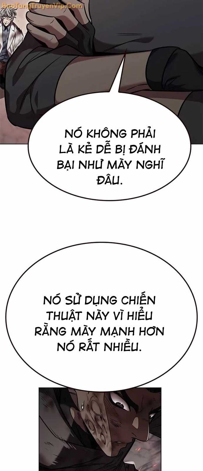 Hoá Thân Thành Mèo