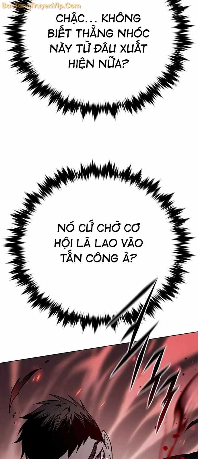 Hoá Thân Thành Mèo