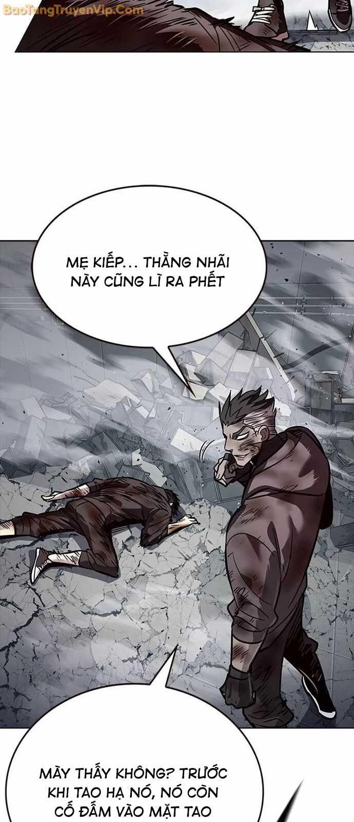 Hoá Thân Thành Mèo
