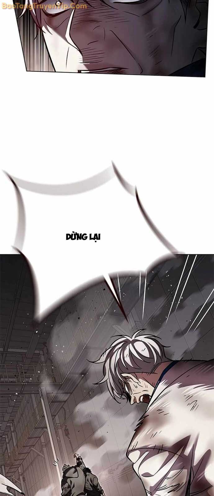 Hoá Thân Thành Mèo