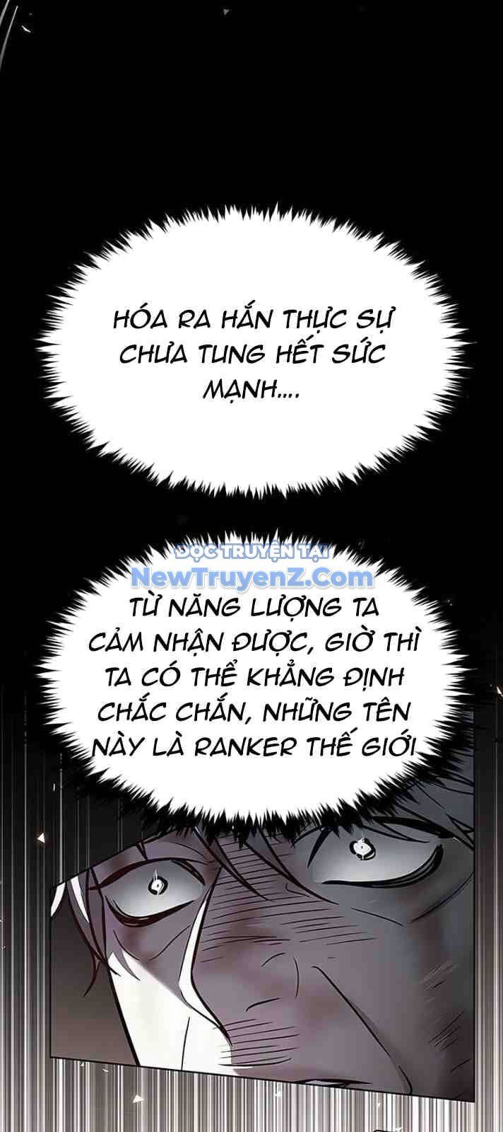Hoá Thân Thành Mèo