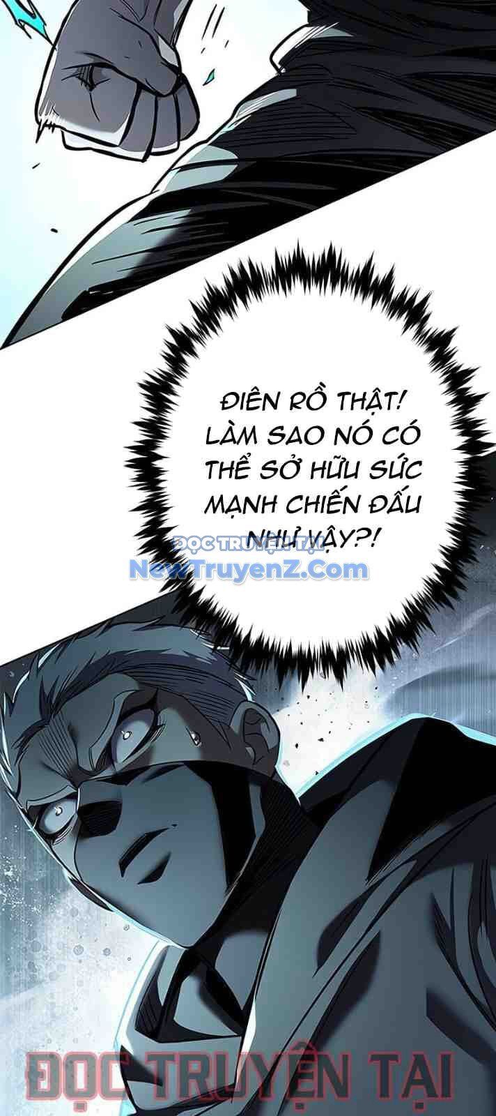 Hoá Thân Thành Mèo